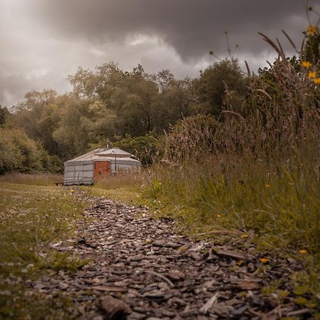 Gilfach Gower Farm Luxury Yurt With Hot Tub Hotel Ammanford Buitenkant foto